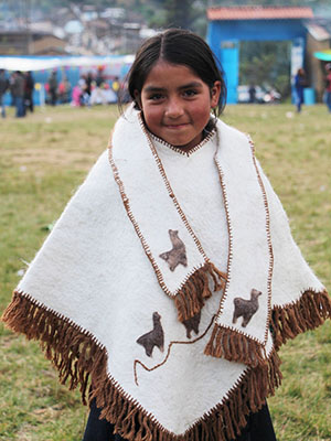 FONCREAGRO - alpacas